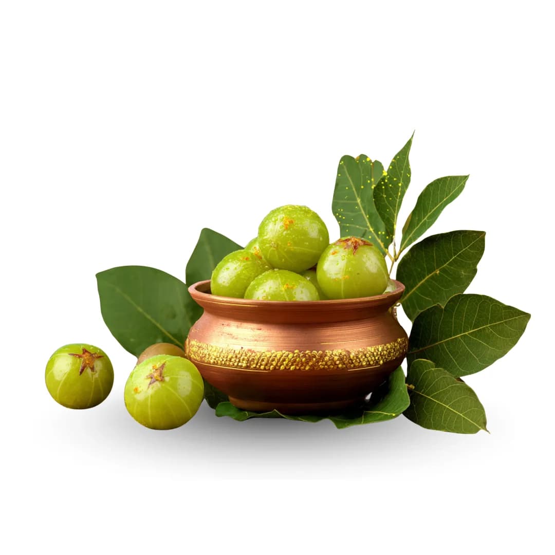 Ayurvedic category