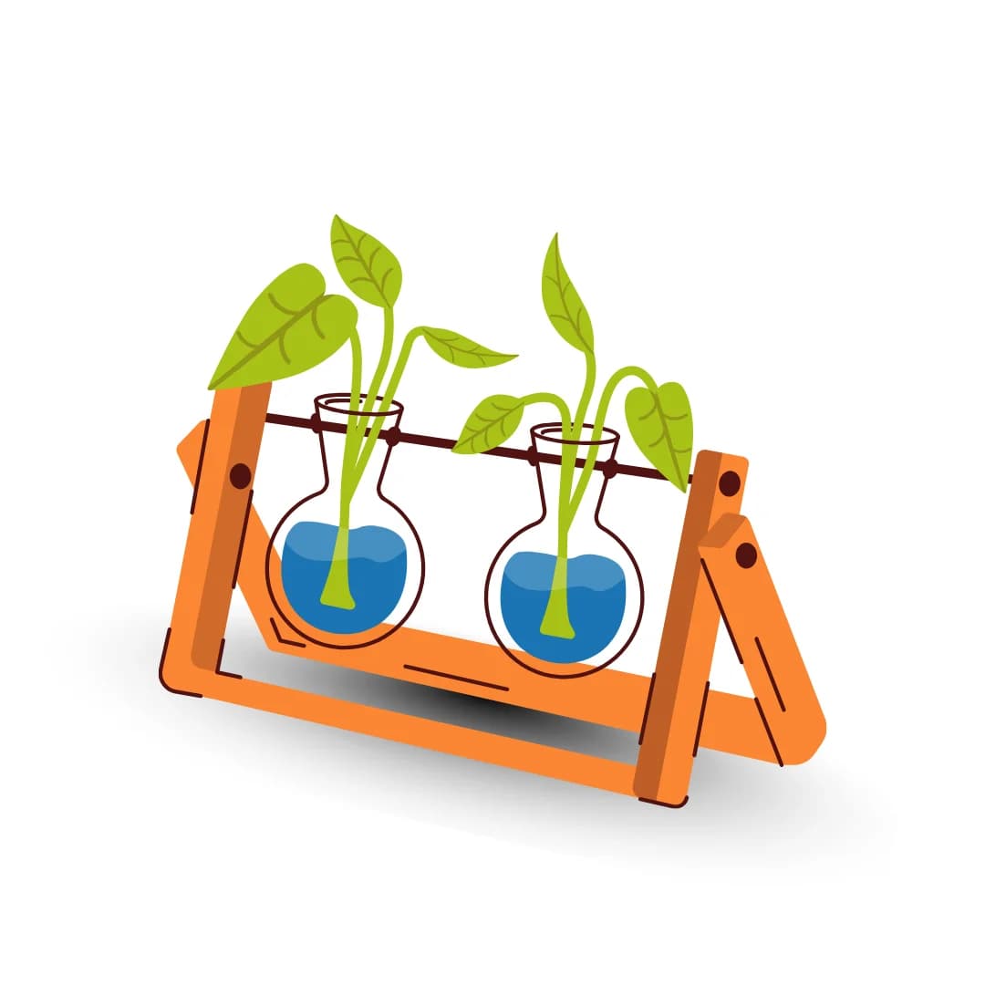 Hydroponic category