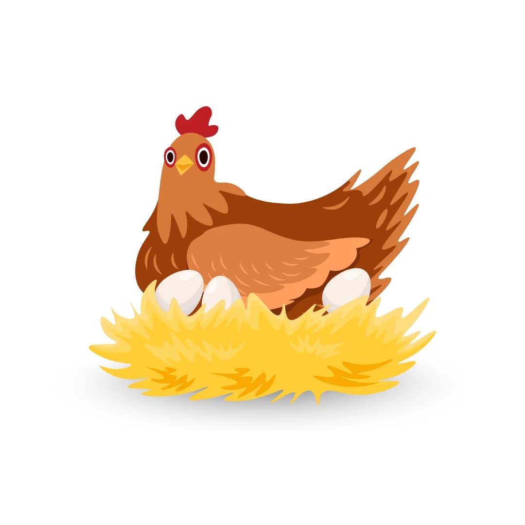 Kadaknath Chicken Eggs category