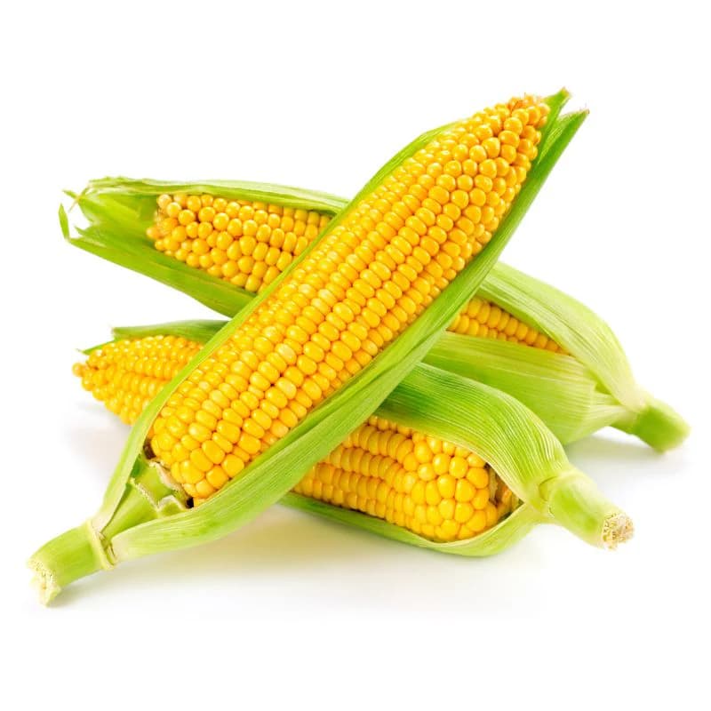 Sweet-corn (Organically-grown) - 500gm