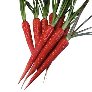 Red-carrot gajar (organically grown) - 1Kg