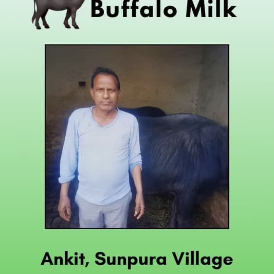 Buffalo Milk