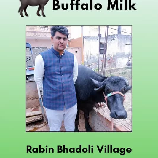Fresh buffalo milk