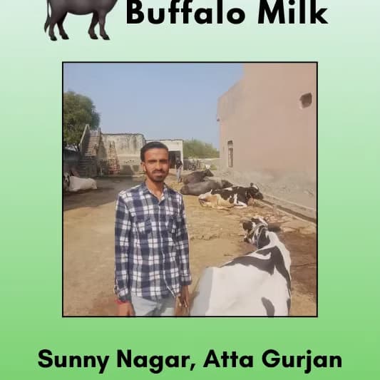 Buffalo Milk 500 ML From Sunny Nagar