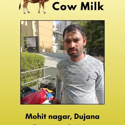 Fresh cow Milk From Mohit Nagar, Dujana, Greater Noida