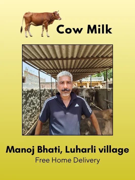 Fresh and Pure Cow Milk- 500 ml From Manoj Bhati, Luharli