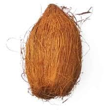 Coconut (Nariyal) - 1 piece from Manoj bhati