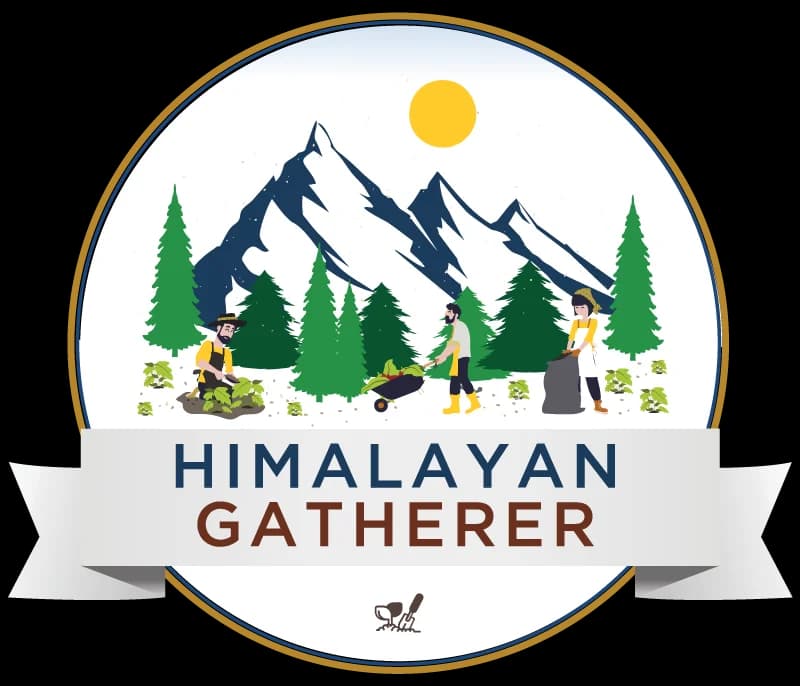 Himalayan Gatherers logo