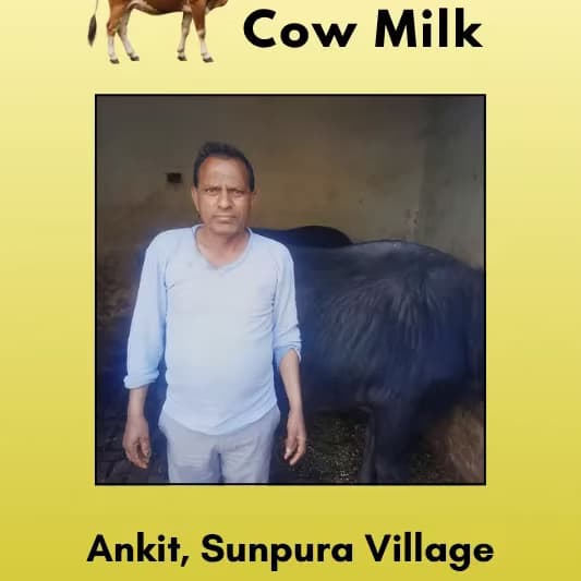 Cow Milk