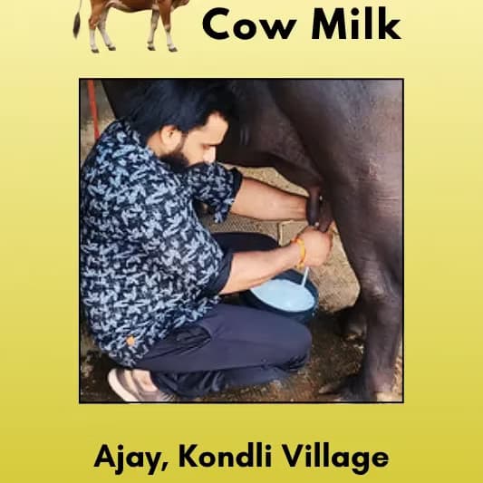 Fresh Cow milk