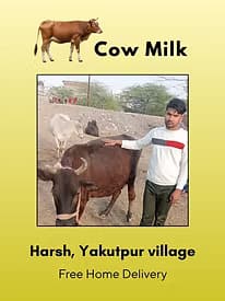 Fresh Cow milk 500 ml from Harsh ,Yakudpur Village