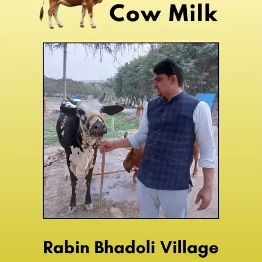 Fresh Cow Milk