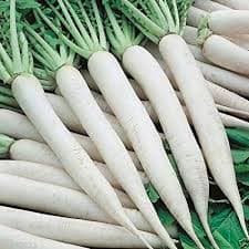 Radish (Mooli) (500gm) From Rohit Fresh Vegetables