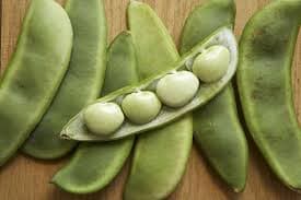 Lima Beans (Sem Phali) (500gm) From Rohit Fresh Vegetables